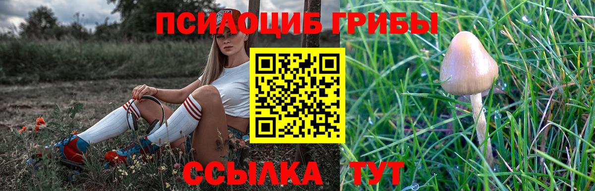 Галлюциногенные грибы MAGIC MUSHROOMS Спасск-Дальний
